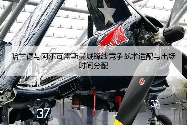 ha-lan-de-yu-a-er-wa-lei-si-man-cheng-feng-xian-jing-zheng-zhan-shu-shi-pei-yu-chu-chang-shi-jian-fen-pei-2-401.jpg